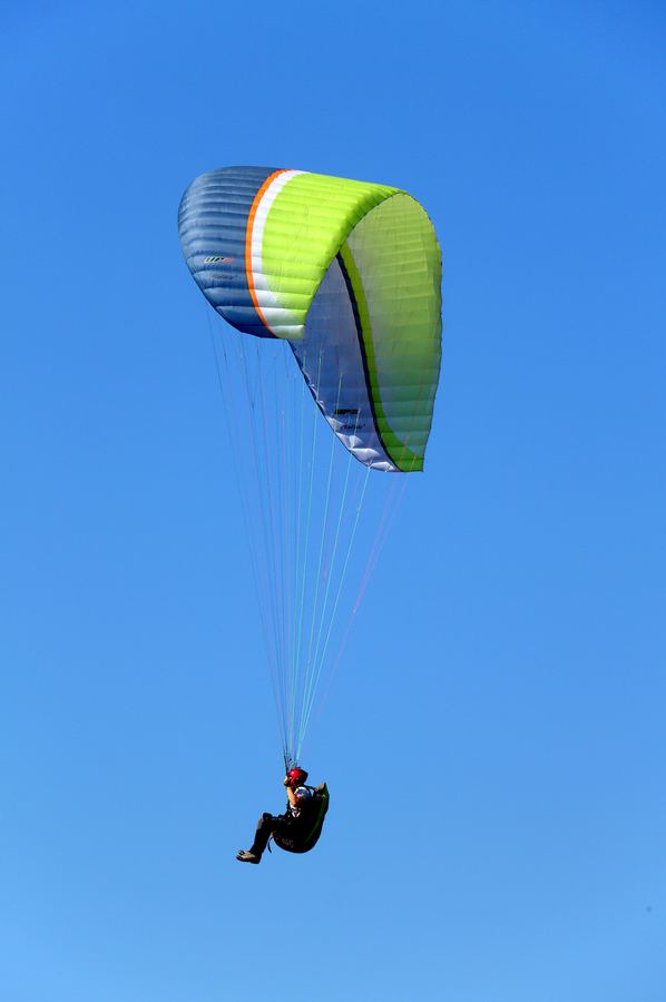 Paragliders